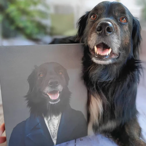 The Aristocrat - Image 9