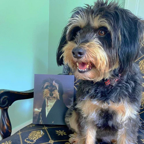 The Count - Image 10