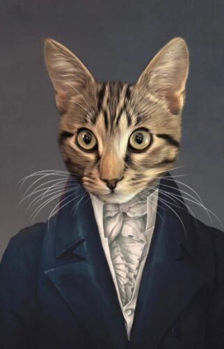 The Aristocrat photo review