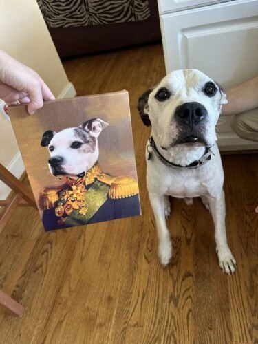 The Colonel photo review