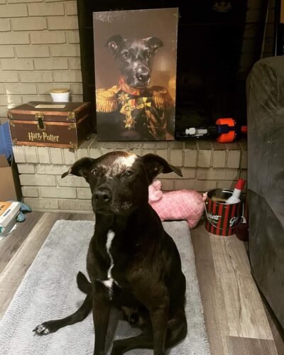 The Veteran photo review