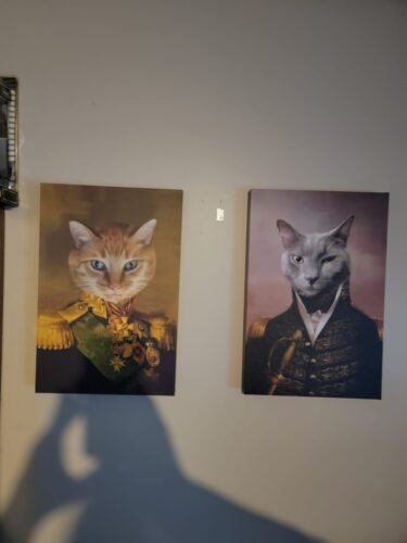 The Veteran photo review