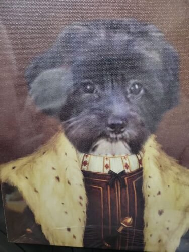 The Young King photo review