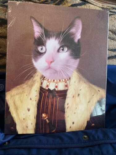 The Young King photo review