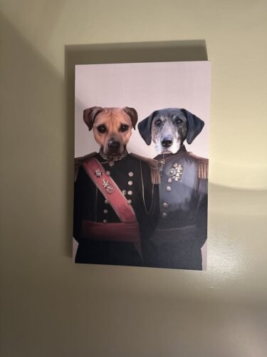 The War Heroes photo review