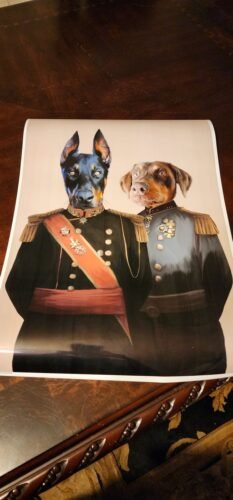 The War Heroes photo review