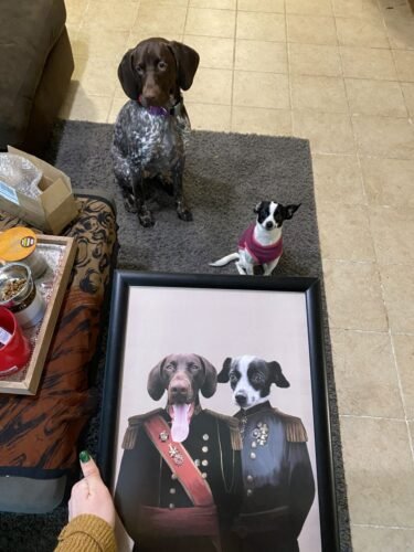 The War Heroes photo review