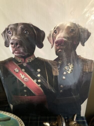 The War Heroes photo review