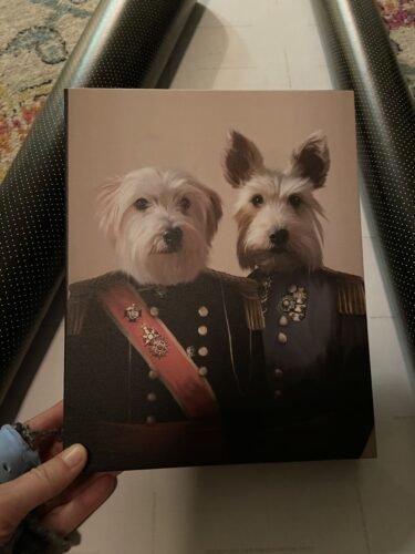 The War Heroes photo review