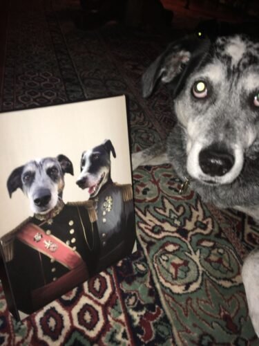 The War Heroes photo review