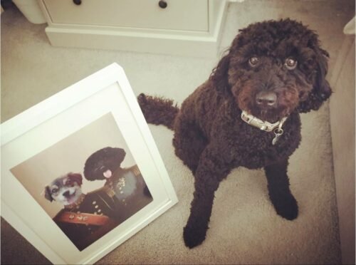 The War Heroes photo review