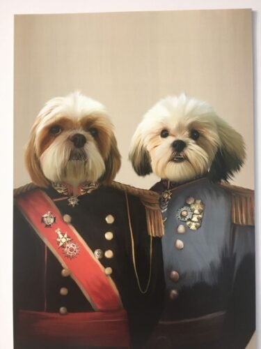 The War Heroes photo review