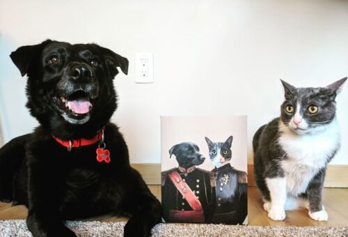 The War Heroes photo review