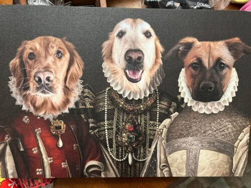 The Three Queens photo review