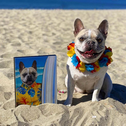 The Surfer - Image 2