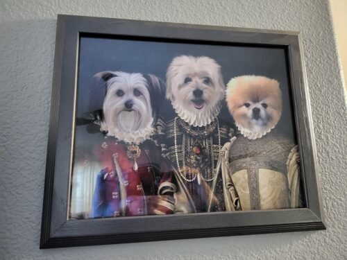 The Three Queens photo review