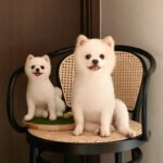 three dimensional whole body photo review