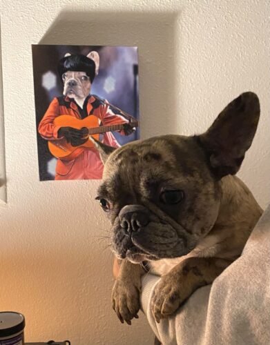 Captain Pawmerica photo review