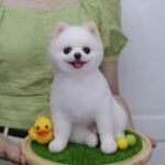 three dimensional whole body photo review