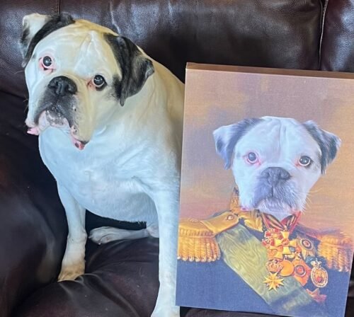 The Colonel photo review