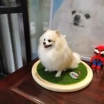 three dimensional whole body photo review