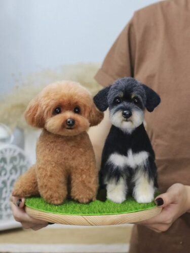 three dimensional whole body photo review