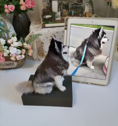 three dimensional whole body photo review