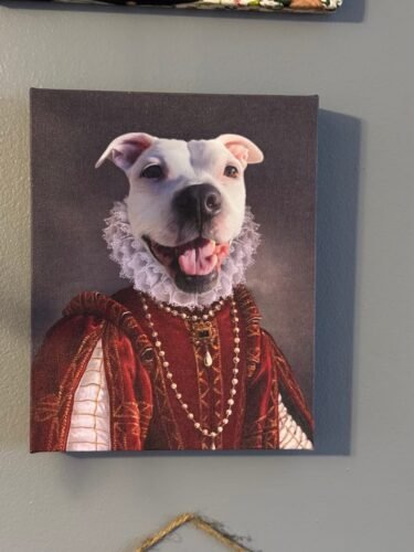 The Queen of Roses photo review