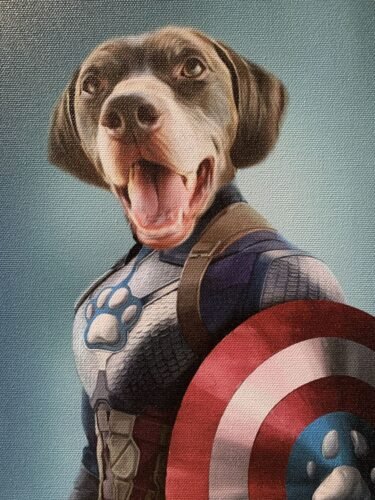 Captain Pawmerica photo review