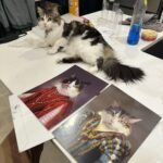 The Queen of Roses photo review