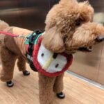 Chubby Mug photo review