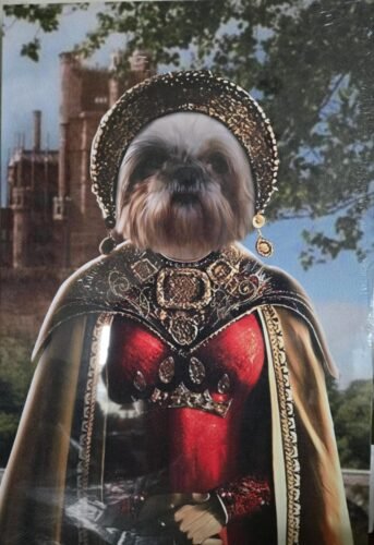 The Queen of Roses photo review