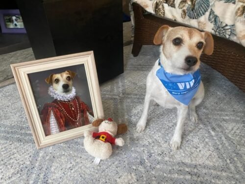 The Queen of Roses photo review