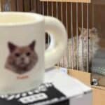 Chubby Mug photo review