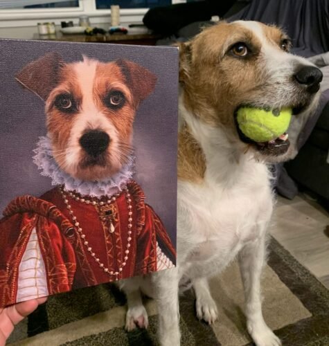 The Queen of Roses photo review