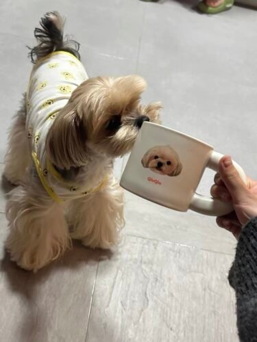 Chubby Mug photo review