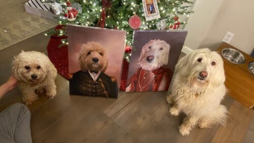 The Queen of Roses photo review