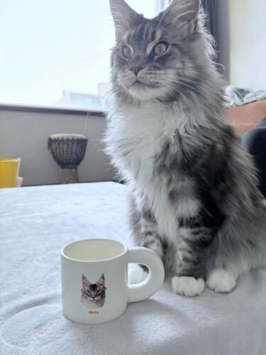 Chubby Mug photo review