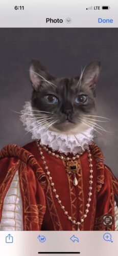 The Queen of Roses photo review