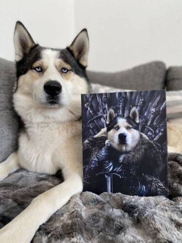 The King in the North photo review