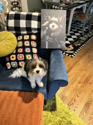 The King in the North photo review