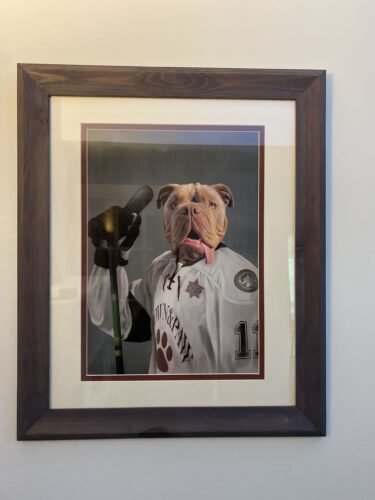 The Ice Hockey Player photo review