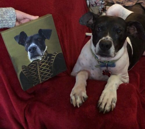 The Noble photo review