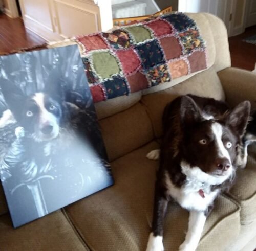 The King in the North photo review