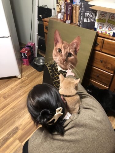 The Noble photo review