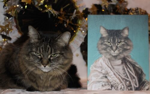 The Queen Regent photo review