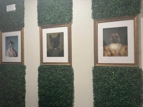 The Queen Regent photo review