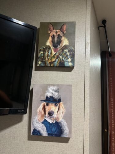 The Queen Regent photo review