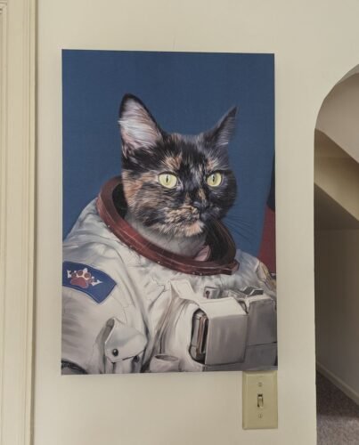 The Astronaut photo review