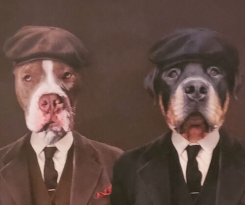 The Gangster Brothers photo review